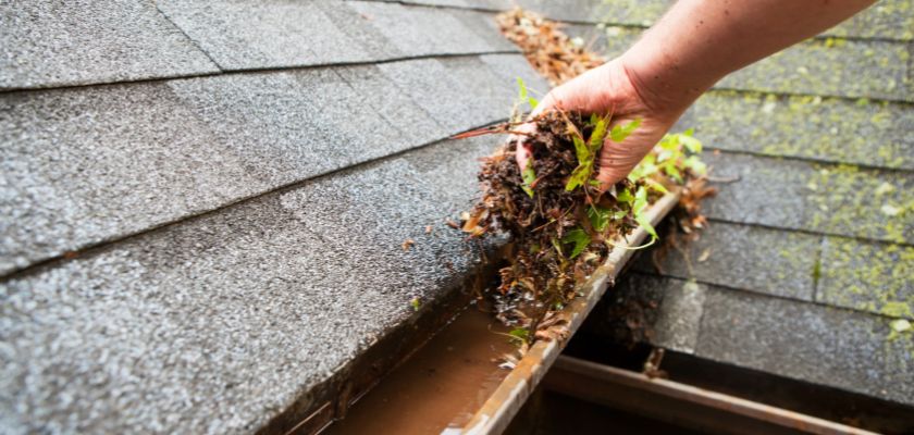Effective Gutter Cleaning Tips