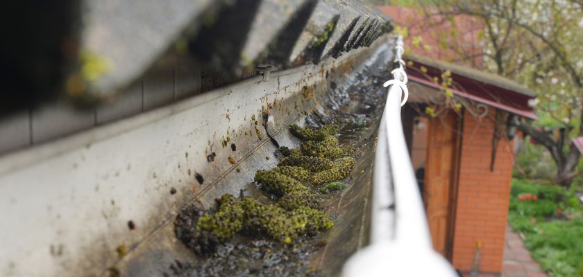 Preventing Water Damage: The Role of Clean Gutters
