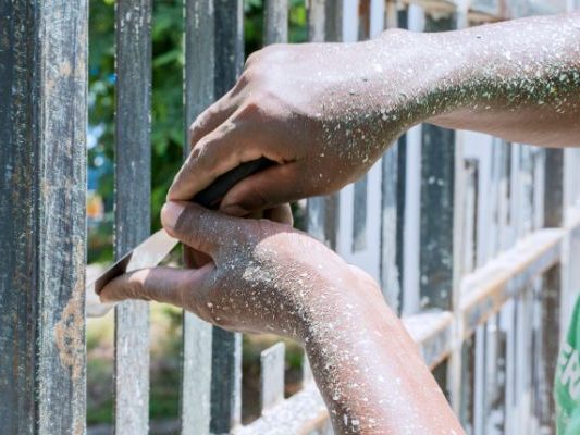 Fencing Maintenance Issues Fencing Maintenance Issues