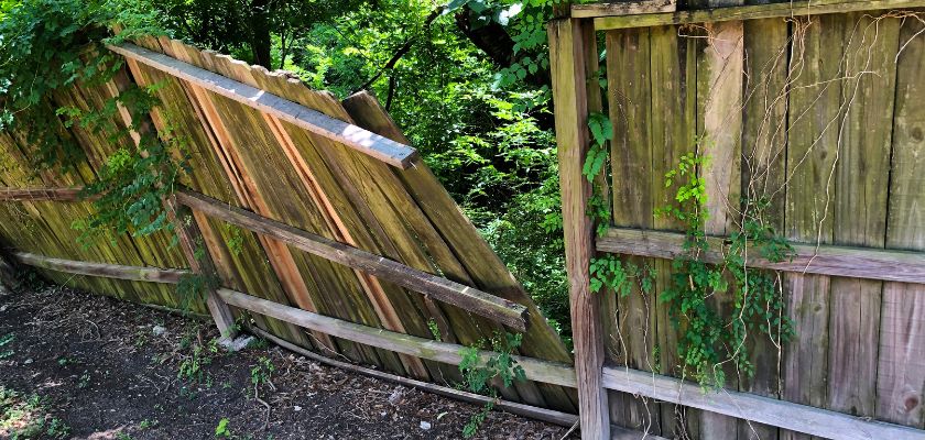 Hiring Professional Fencing Services