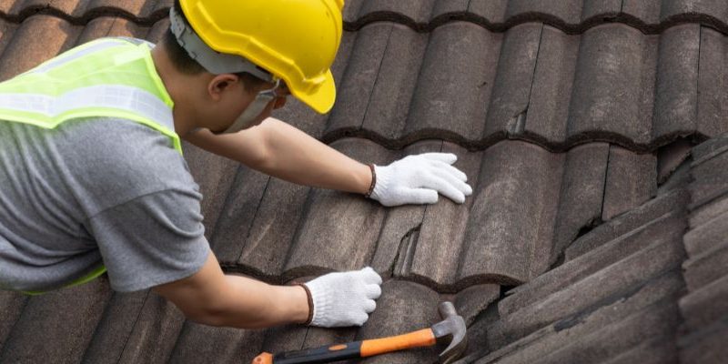 Roof Maintenance Roof Maintenance